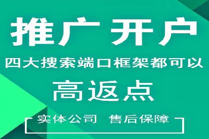 金融行业SEM推广案例：提升品牌知名度